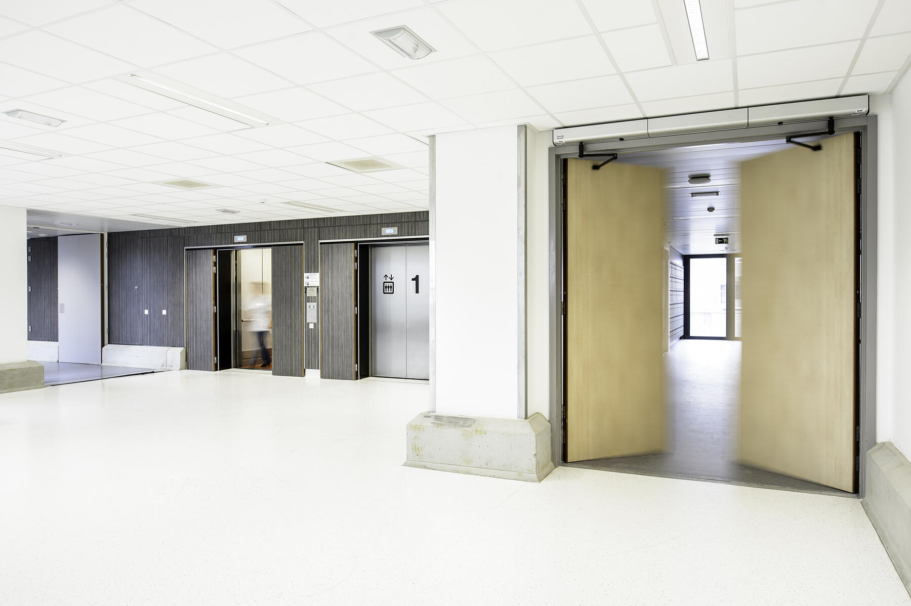 brandwerende deuren